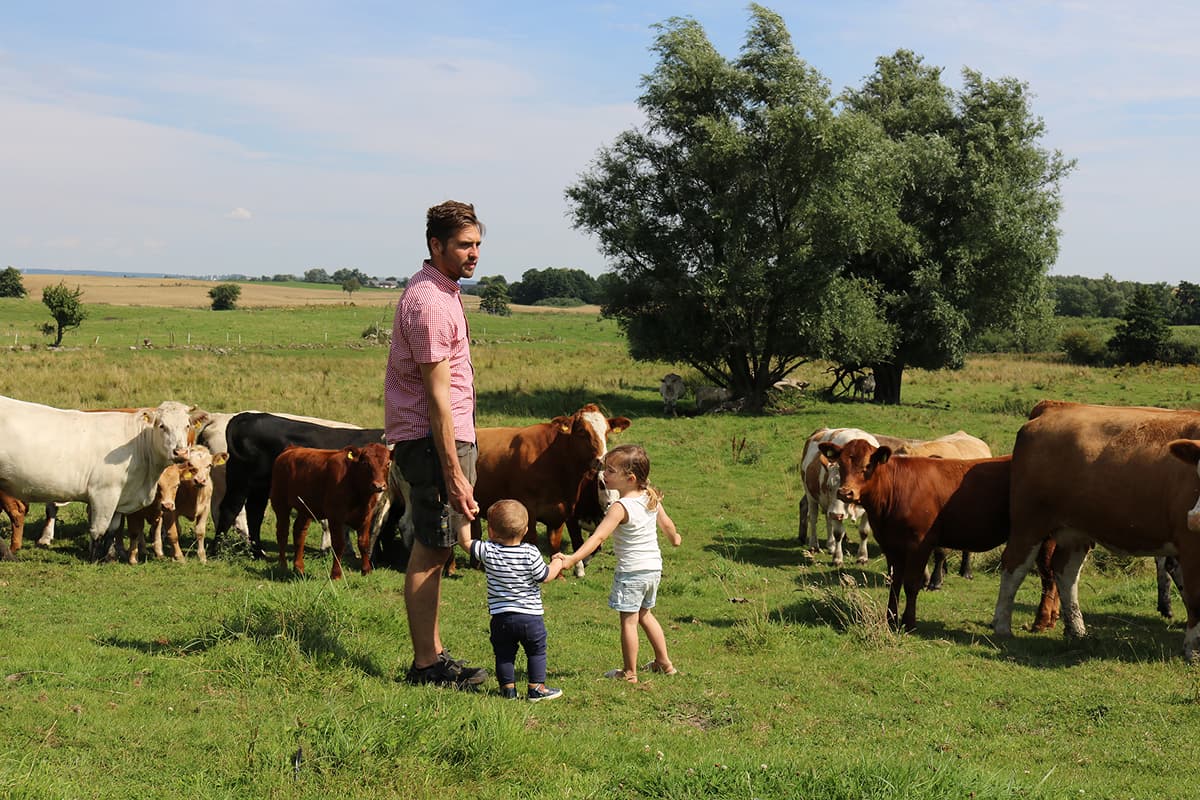 vismarlovsgarden kossor och familj